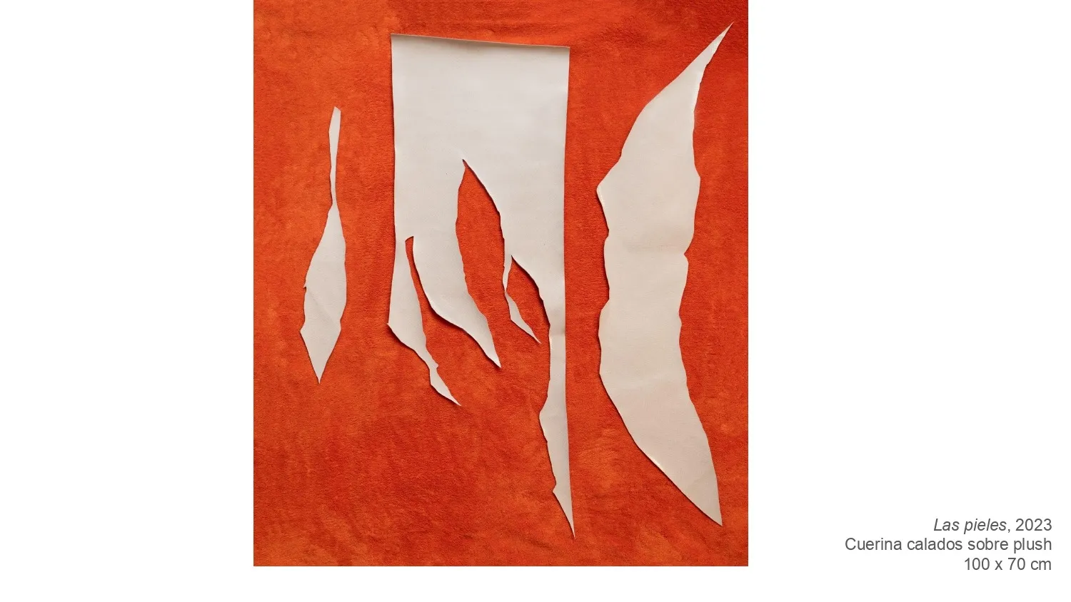 "Las formas de la materia"