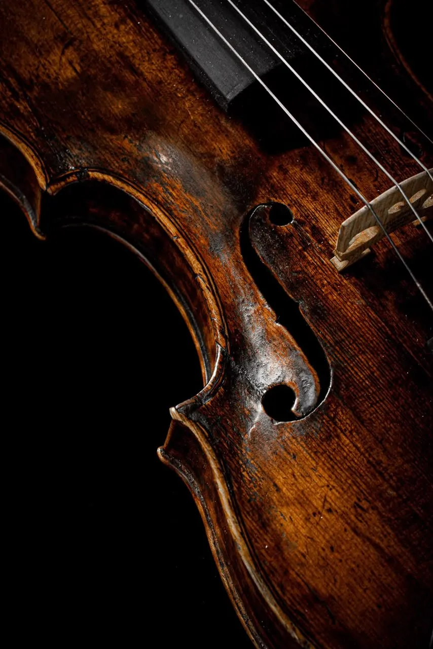 Le Violon Belge en Palermo